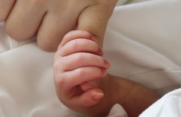 “화장실에서 아이 낳았다” 신고 후 체포된 여성… 영아 살해 사건에 日 충격