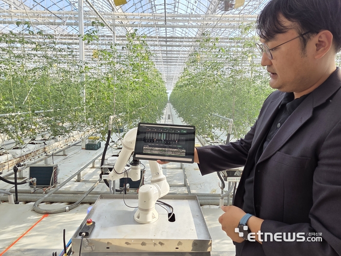 농촌진흥청 연구원이 로봇 통합 관리 프로그램 화면을 시연하며 토마토 생육과 로봇 작업 데이터를 설명하고 있다. (사진=박효주 기자)