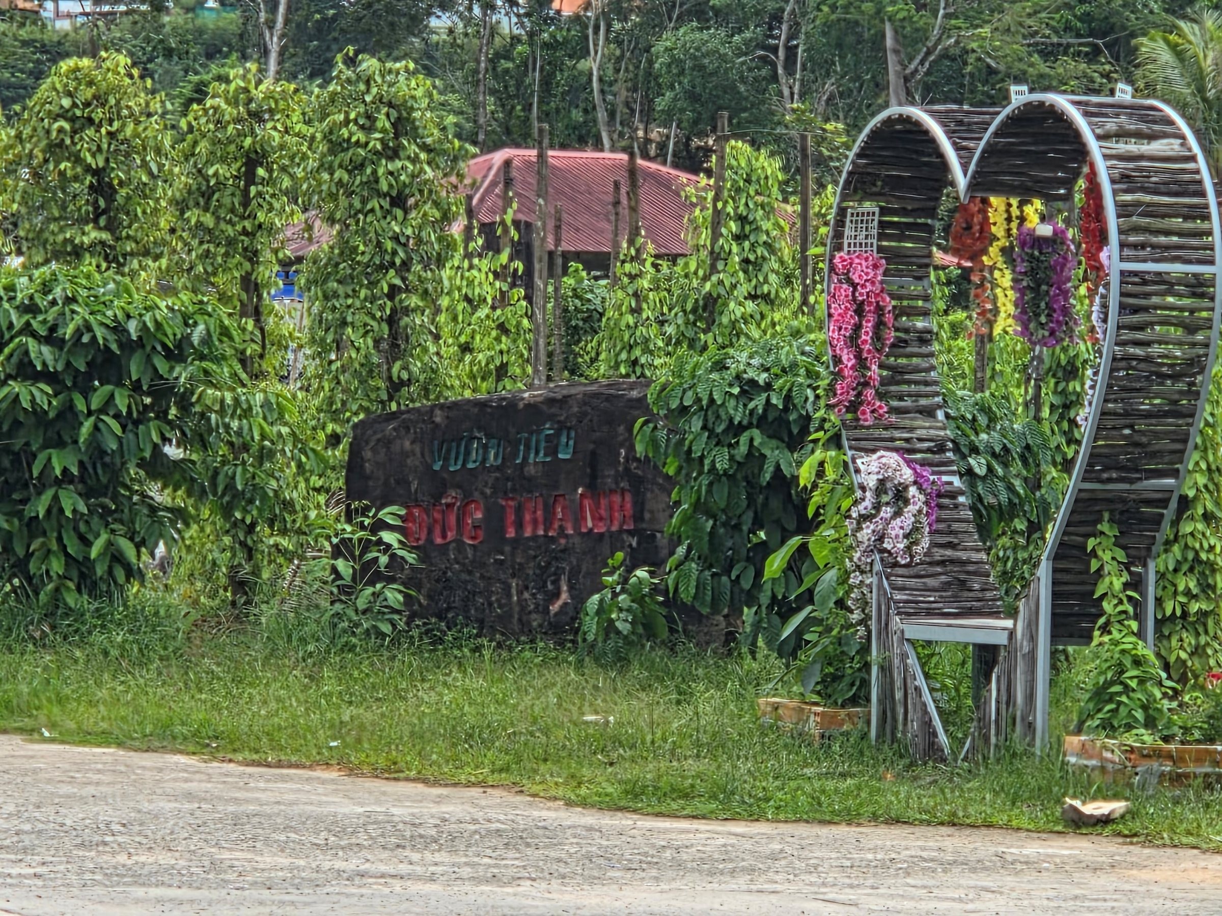 사진= 푸꾸옥 후추농장 / 박병창 기자 