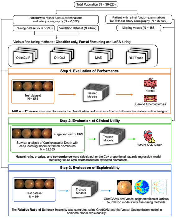 자이메드가 개발한 파운데이션 모델 기반 경동맥 경화 진단 AI와 다차원적 평가 체계 구조(사진=자이메드)