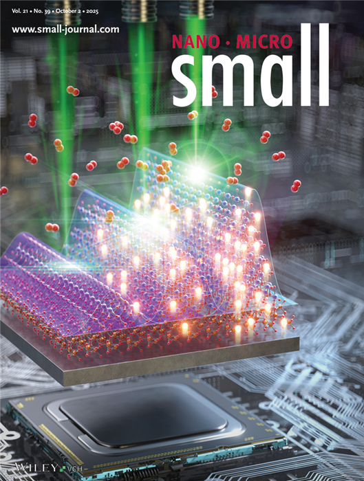 권혁준 교수 연구내용이 실린 '스몰' 앞표지 이미지