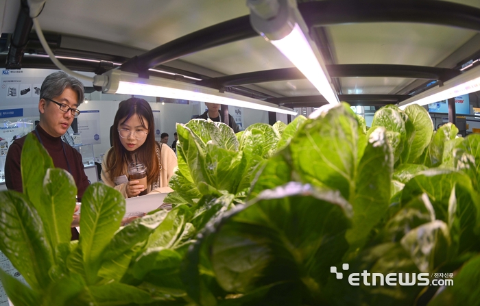 Photo Image