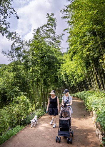 에버랜드, 반려견과 단풍 나들이 '가을을 함께하개' 진행
