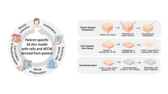 환자로부터 자가세포와 환자 유래 탈세포화 세포외기질 매트릭스를 얻어이식재로 프린팅하여 다시 해당 환자의 상처 치료를 위한 이식재로 돌아가는 모식도