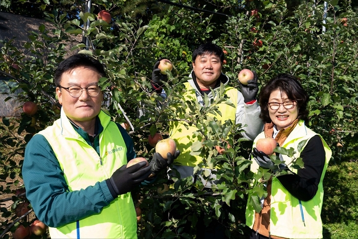 농협은행 임직원들이 지난 22일 경기 포천시 창수면 소재 과수농가를 찾아 경기지역의 우수고객, 양준혁 스포츠재단과 농촌 일손을 도왔다. (왼쪽부터)농협은행 최동하 수석부행장, 양준혁 스포츠재단 양준혁 이사, 신분옥 우수고객 사진제공=NH농협은행