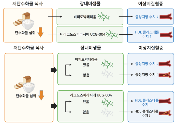 식품연, “저탄수화물 식단 효과, 장내미생물에 따라 달라져”