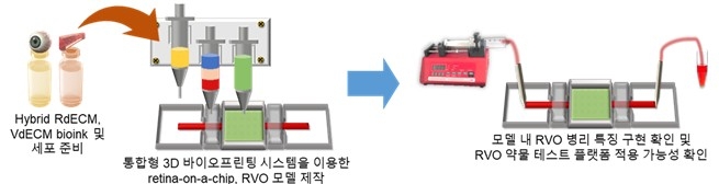Photo Image