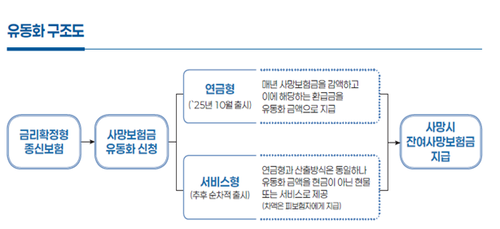"연금처럼 받아써라" 사망보험 유동화…평균 수령액 '월 6~13만원' 실효성 의문