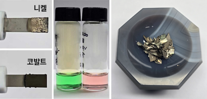 UNIST가 개발한 공정으로 추출한 니켈과 코발트.