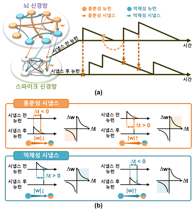 뉴로모픽 시스템을 활용한 실시간 신경망 분석 방법의 원리