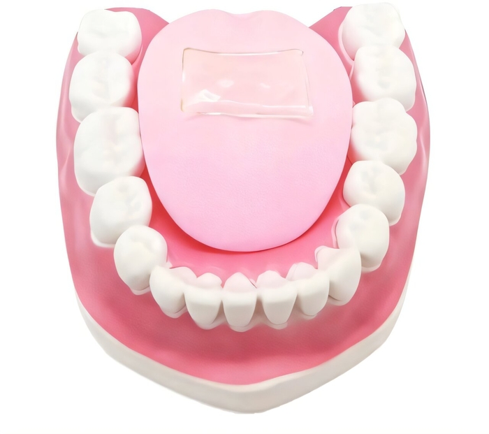 “한국인은 필요 없다?”…매운맛 측정하는 '인공 혀' 개발