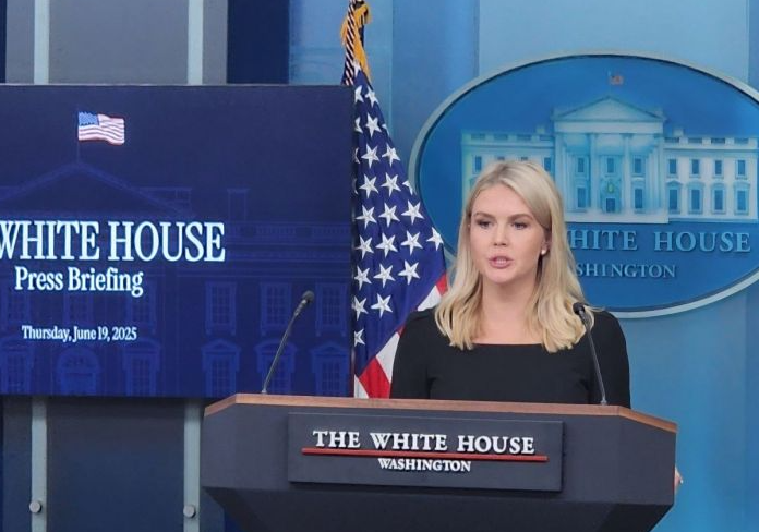 캐롤라인 레빗 미국 백악관 대변인. 사진=연합뉴스