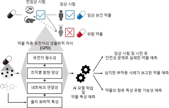 전임상 모델과 사람 사이의 약물 작용 유전자의 생물학적 차이(GPD)에 기반 해석 가능한 약물 독성 예측 기계 학습 모델 프레임워크