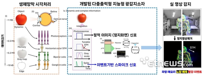 서형택 아주대  첨단신소재공학과·에너지시스템학과 교수 연구팀이 개발한 지능형 머신비전용 뉴로모픽 광감지 메모리 센서 이미지.