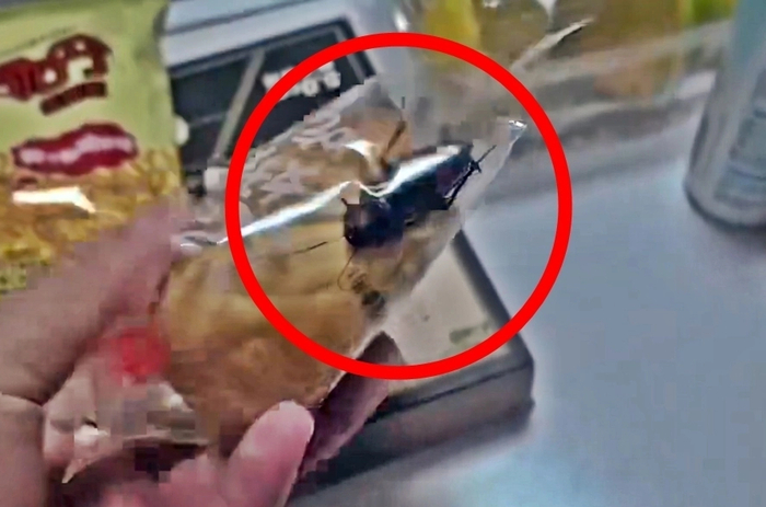 홍성신문에 따르면 중국 장쑤성 난퉁 소비자 A씨는 전날 소셜미디어(SNS)에 바퀴벌레가 산 채로 든 빵 봉지 관련 영상을 올렸다. 〈사진=엑스〉