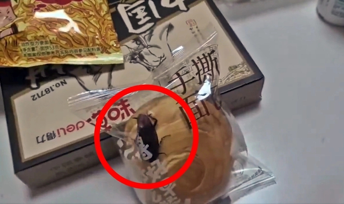 빵 봉지 안에서 살아 있는 바퀴벌레를 발견됐다.〈사진=엑스〉