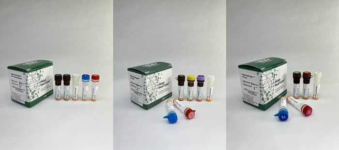 유럽연합 체외진단의료기기 규정(CE IVDR) 인증을 획득한 HLB파나진의 감염성 질환 진단 제품 3종(사진=HLB파나진)