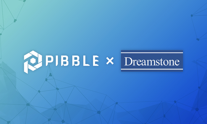 AI 피블(PIBBLE), 드림스톤파트너스와 항공기 자산 기반 블록체인 협력 ... - 뉴스 썸네일 이미지