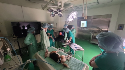 [서울형R&D 선도사례]〈8〉메디인테크, 전동식 스마트 동물용 내시경 시스템