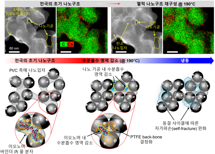 전극 나노구조 열적 재구성 결과와 전극 내 수분 흡수 영역 감소에 따른 동파 완화 메커니즘에 대한 모식도(표재범 교수)