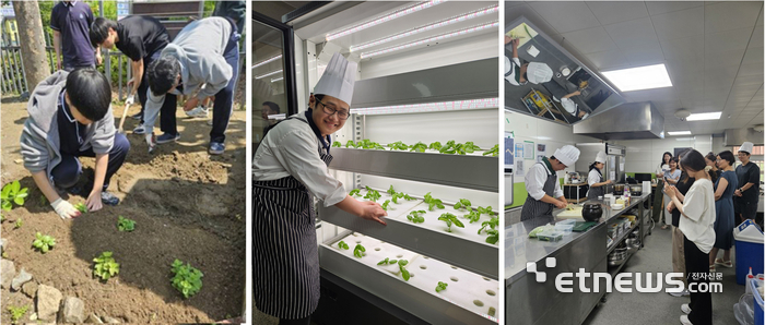 평촌경영고 외식조리과, 텃밭·스마트팜 채소로 '역방향 수업·기부 프로젝트' 실천…미래역량강화사업과 연계한 지속가능 식교육 모델로 주목