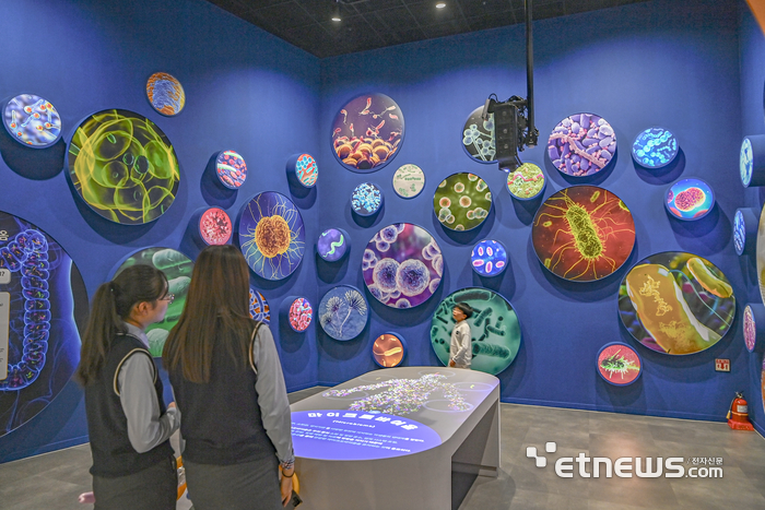 강원과학기술대축전