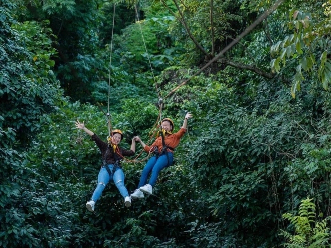“순식간에 수백 마리 공격”… 라오스서 말벌에 쏘여 숨진 미국인 부자
