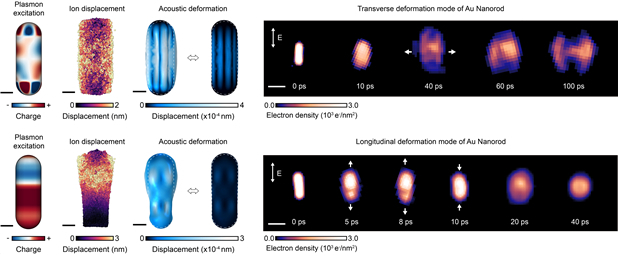 빛의 세기에 따라 금 나노막대가 변형되는 과정을 포착한 영상. 약한 빛에서는 횡방향 플라스몬 모드가, 강한 빛에서는 종방향 플라스몬 모드가 켜지며 각각 다른 방향으로 진동과 변형이 일어남을 보여준다.