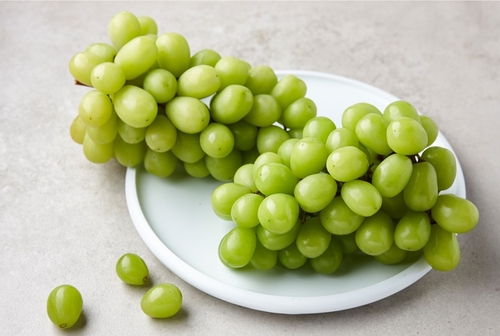 상주 샤인머스캣 1.5㎏