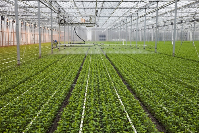 스마트 팜 관련 이미지 / CIMON