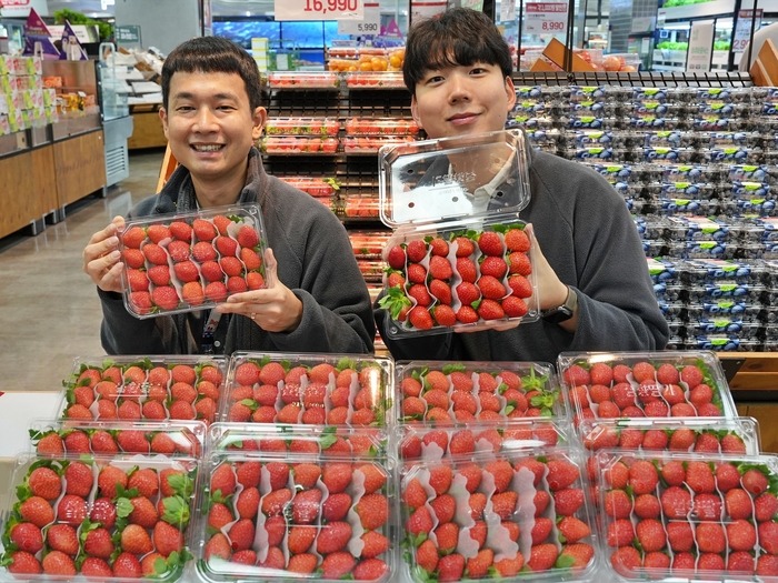 서울특별시 송파구에 위치한 롯데마트 제타플렉스 잠실점 농산 매대에서 '무라벨 설향 딸기'를 홍보하는 과일팀 신한솔(왼쪽) MD와 이규원 MD의 모습.