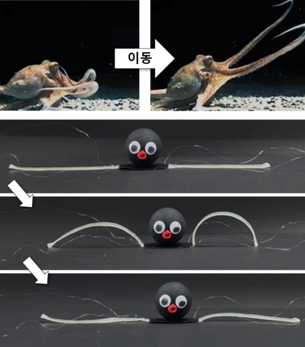 문어처럼 움직이면서 색 바꾸는 소프트 로봇 개발…국방·의료·탐사분야 응용가능
