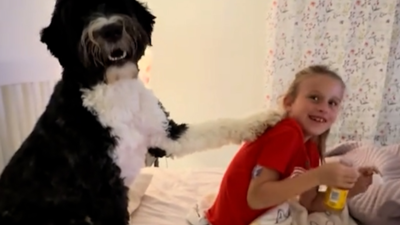 주요행사 이미지