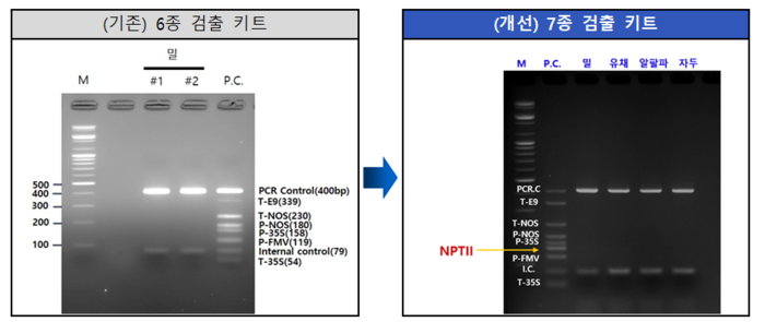 LMO 검사 키트 개선 세부내용
