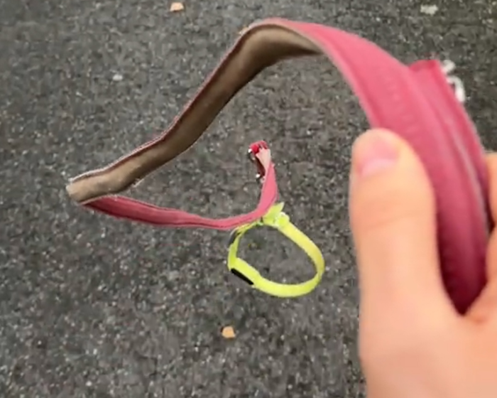 개 없는 개 훈련? 독일서 뜨는 이색 취미 '하비 도깅'