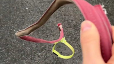 주요행사 이미지