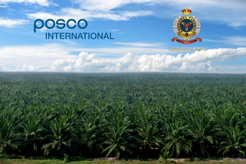 포스코인터내셔널, 인도네시아 대형 팜 기업 인수...팜 밸류체인 완성