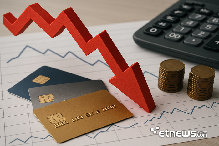 카드사 절반 100원 굴려 1원도 못번다