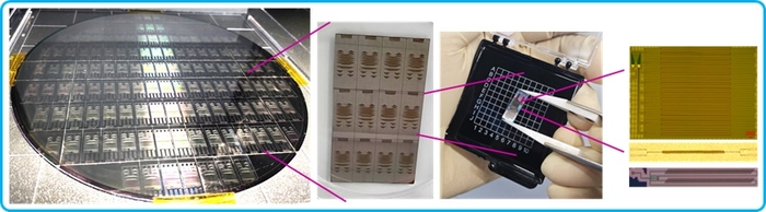 [반도체 유니콘을 향해]포토니솔 “광 다이오드 칩으로 '실리콘 포토닉스' 공략”