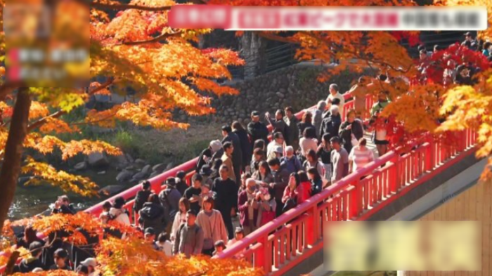 일본 단풍 관광 명소 카라시 계곡. 사진=테레비 아사히 캡처