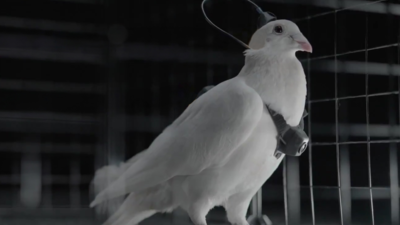 주요행사 이미지