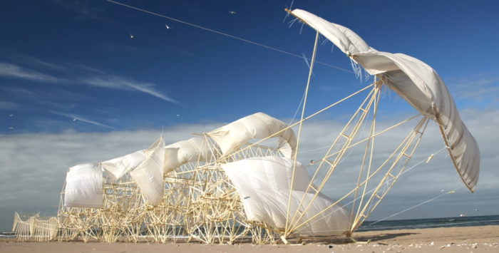 모래 위에서 움직이는 거대 생명체의 정체?