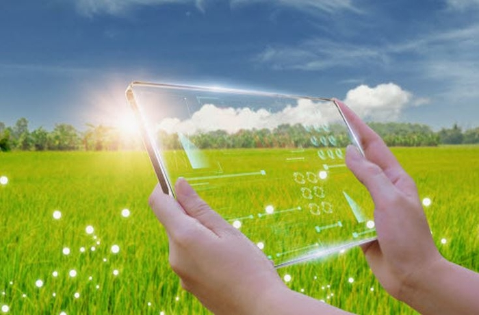 신축 대신 리모델링…농협 '보급형 스마트팜' 올해 1000농가 전환 앞둬