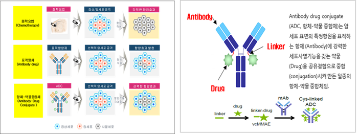 항체약물접합체(ADC) 개요(출처=오송첨단의료산업진흥재단 홈페이지)