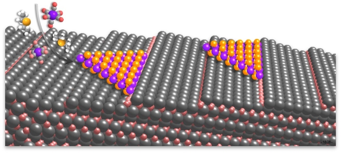 계단 구조 표면의 사파이어 기판 위에 2차원 반도체를 에피택시 성장하는 과정 모식도