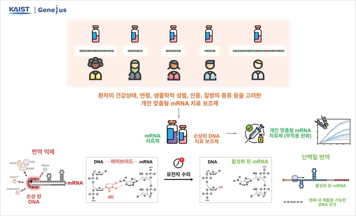 KAIST 연구진이 구현한 mRNA 치료제 제어 전략 개요.