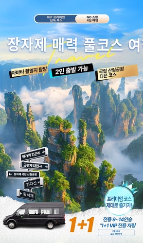 [알리 꿀템 PICK] 연말 여행 준비는 가볍게, 떠나는 건 똑똑하게