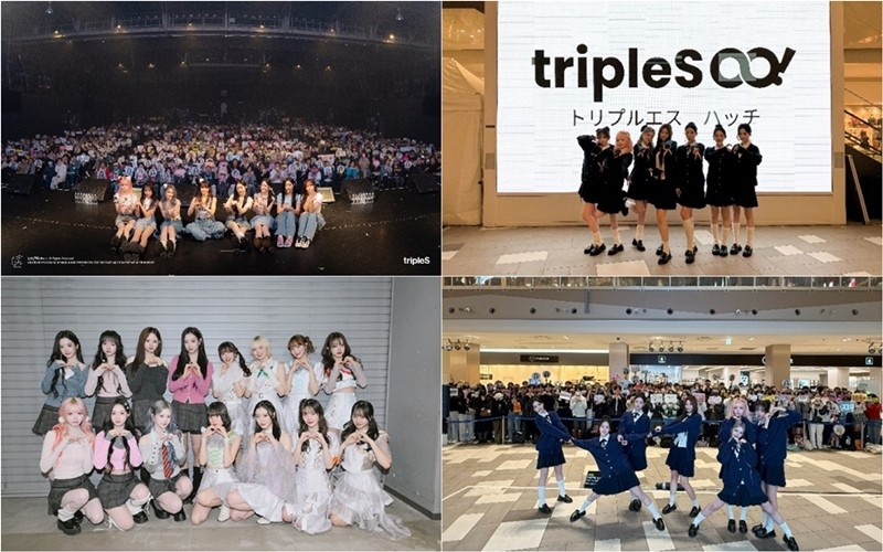 사진=모드하우스