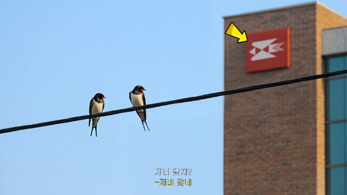 우정사업본부 '보답하는 제비' 광고 장면