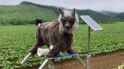 주요행사 이미지